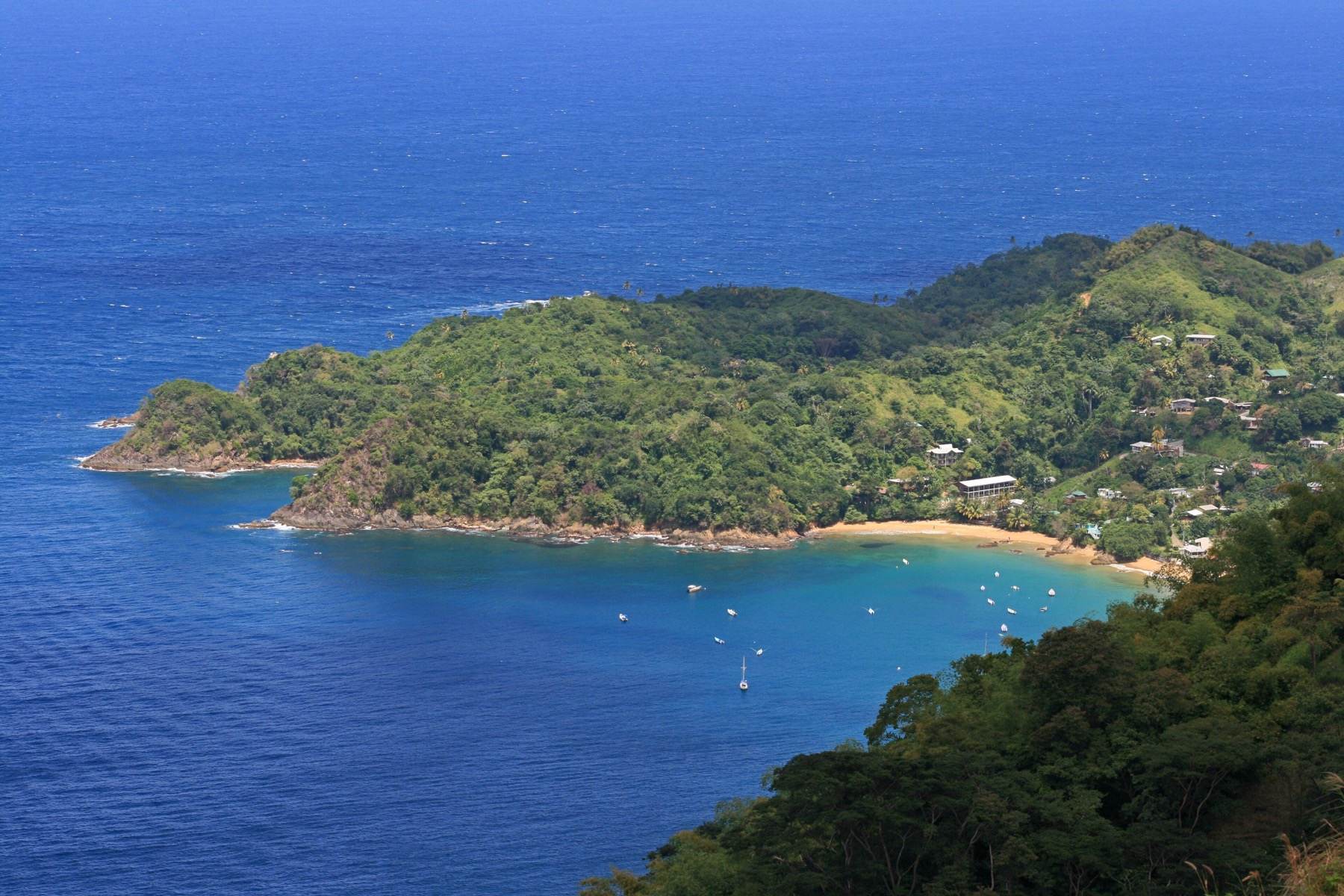 Castara Bay's green headlands and turquoise water from above